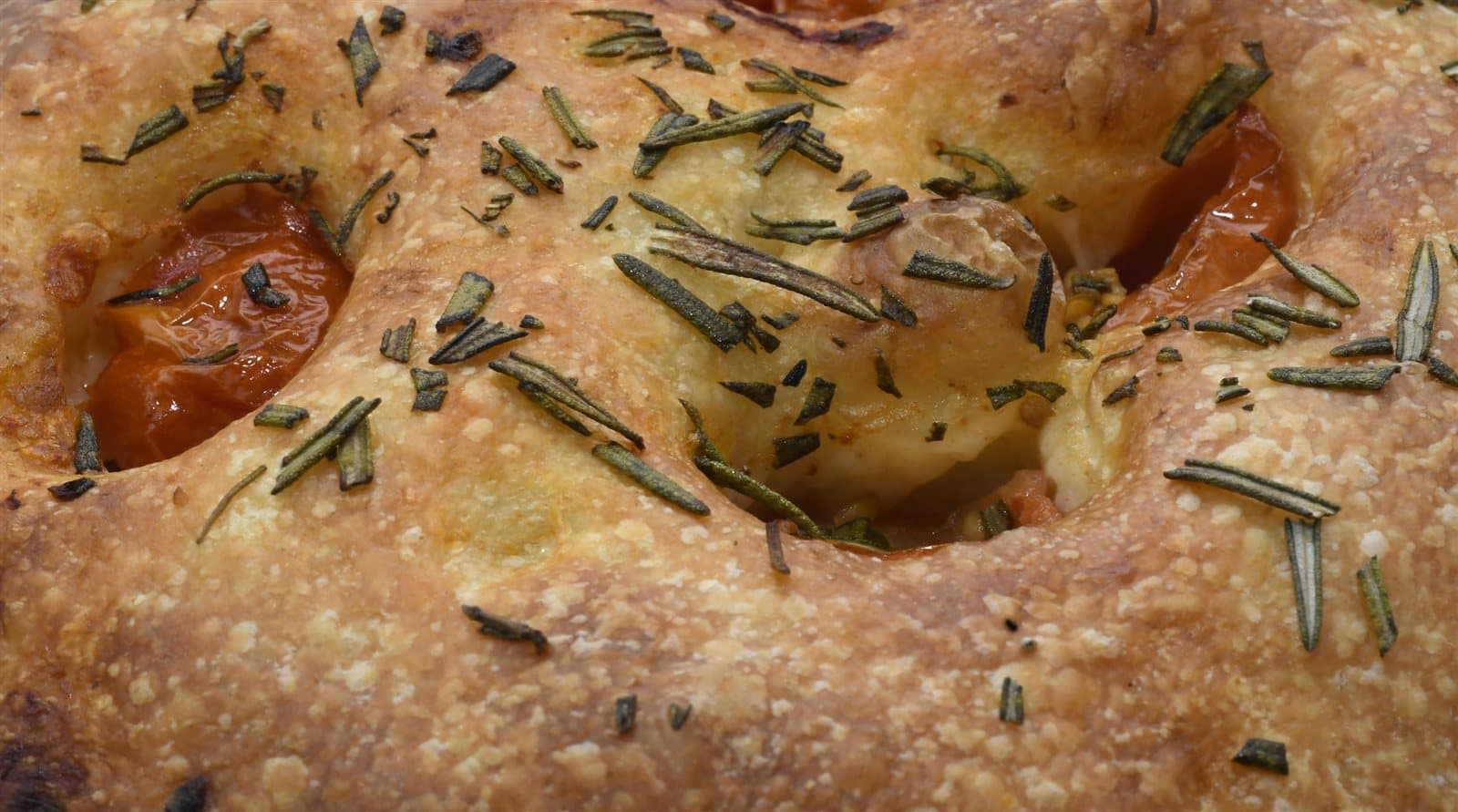 Daily Focaccia
